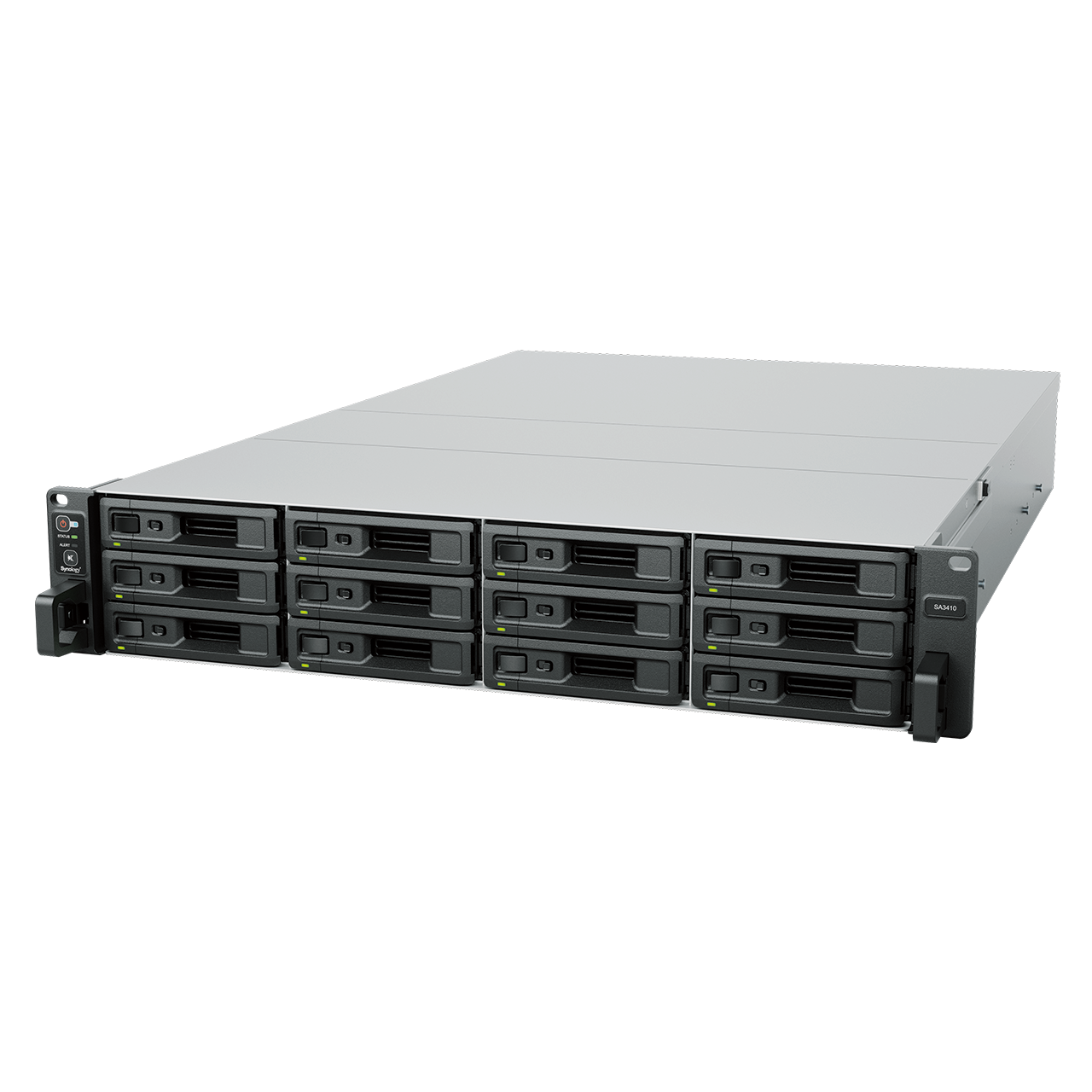 Synology SA3410 Storage Server